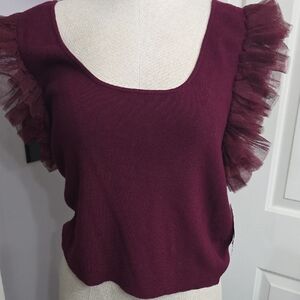 ARULA Burgundy Ruffle Sleeve Knit Top
